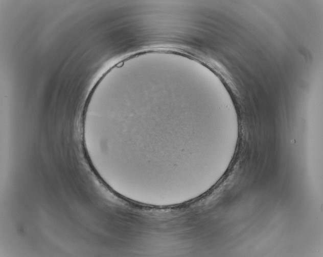 X0000111641428200908281147