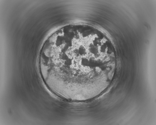 X0000111641429200908281147