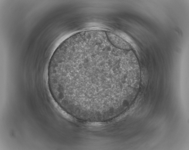 X0000111641431200908281147