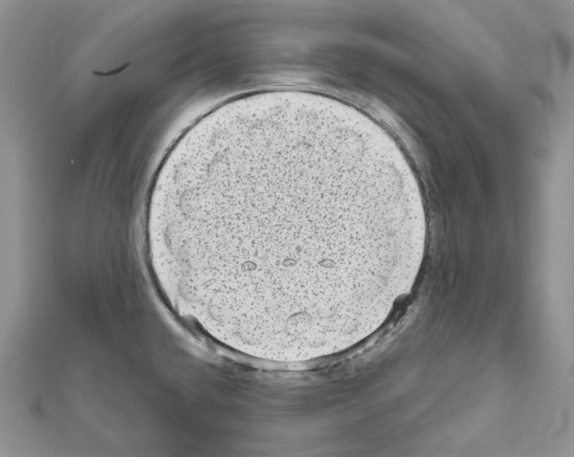 X0000111641432200908281147