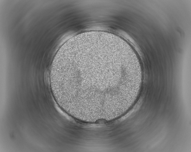 X0000111641433200908281147