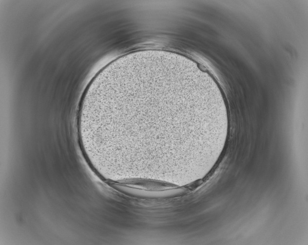 X0000111641434200908281147