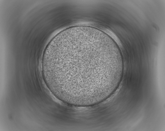 X0000111641436200908281147