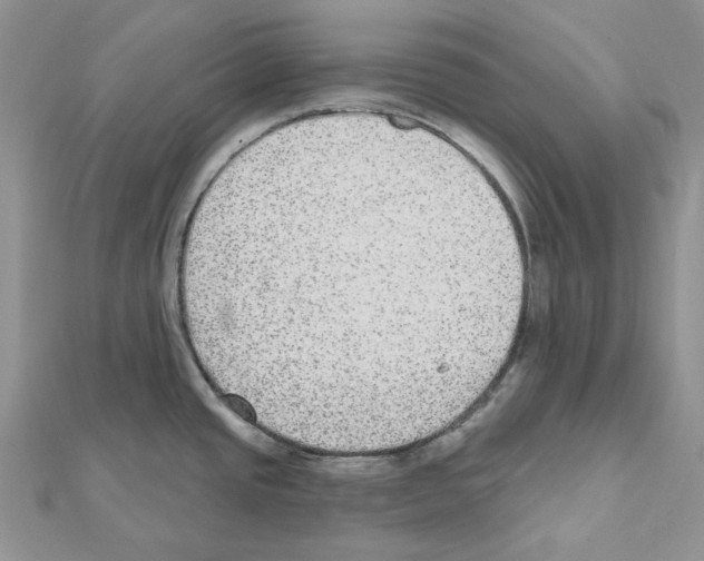 X0000111641437200908281147