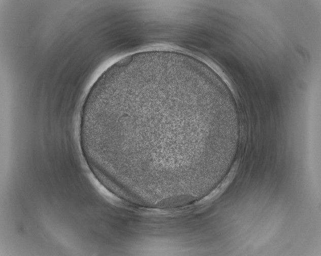 X0000111641438200908281147