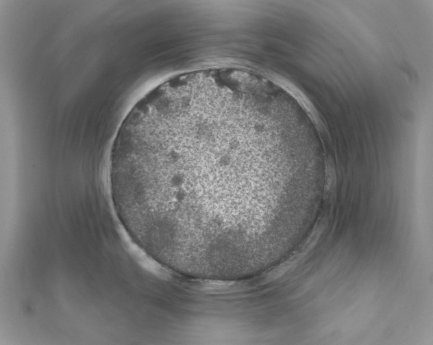 X0000111641439200908281147