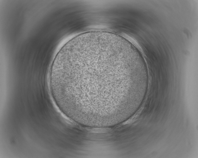 X0000111641440200908281147