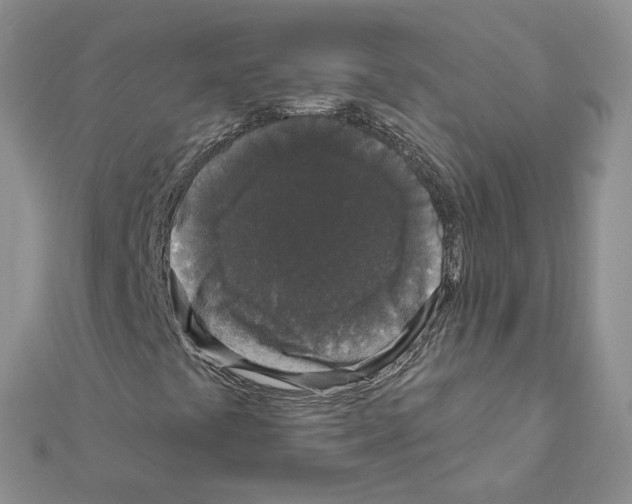 X0000111641441200908281146