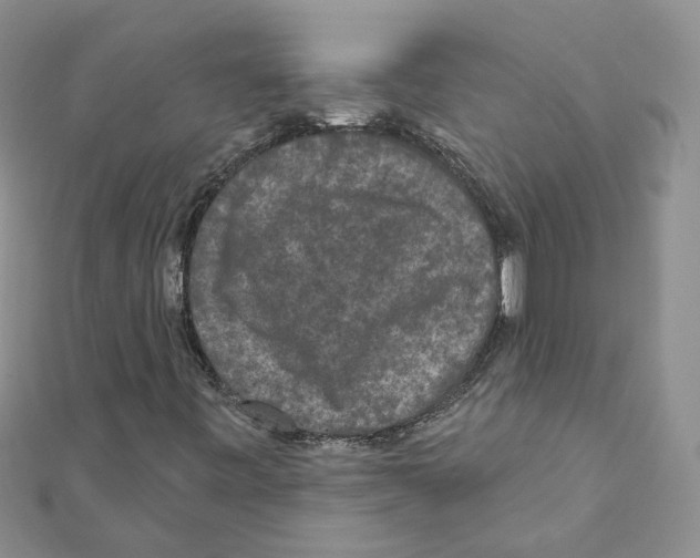 X0000111641443200908281146