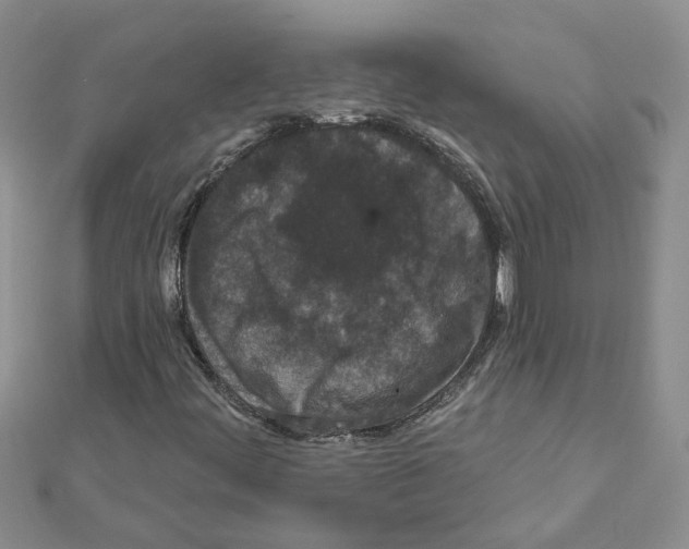 X0000111641444200908281146