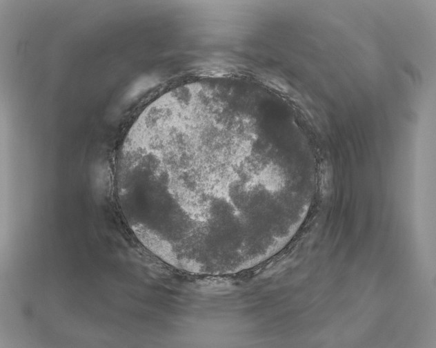 X0000111641446200908281146