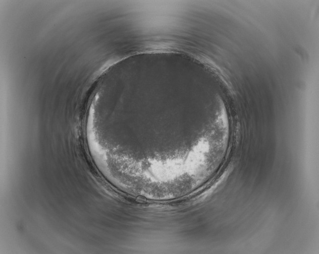 X0000111641449200908281146