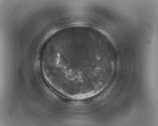 X0000111641450200908281146