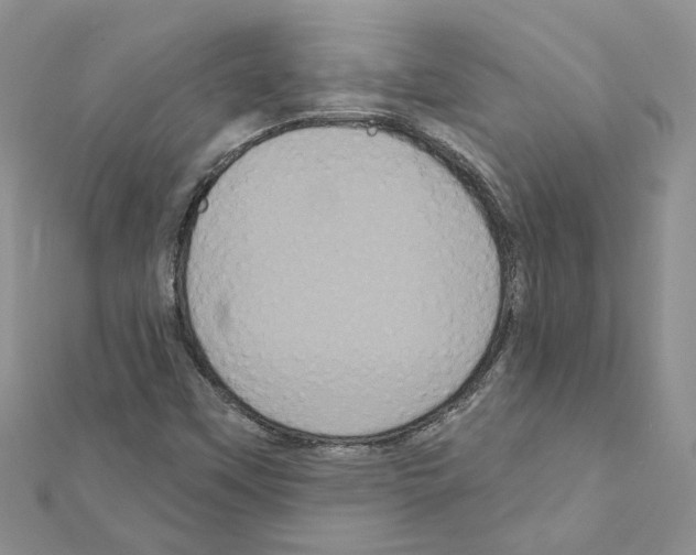 X0000111641451200908281146