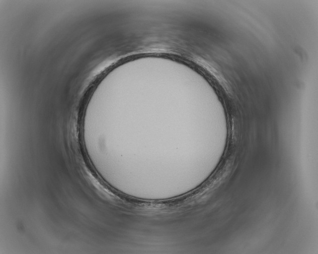X0000111641452200908281146