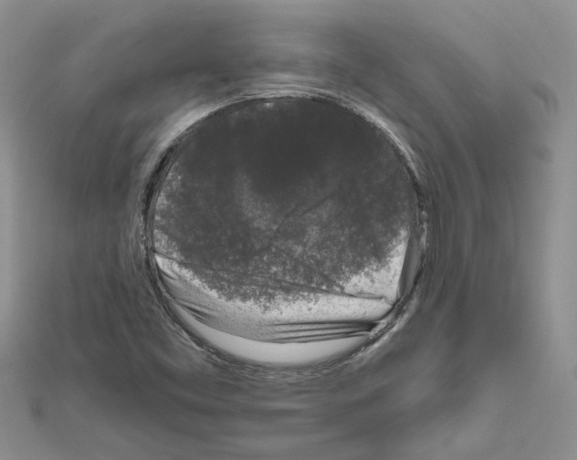 X0000111641453200908281146