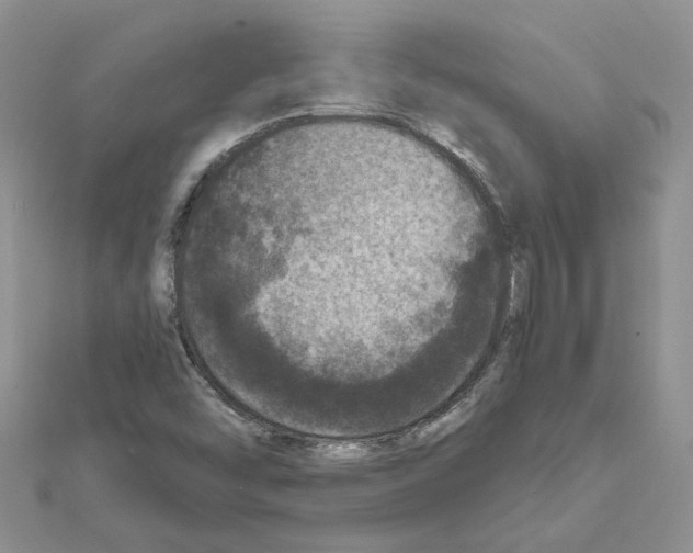 X0000111641454200908281146