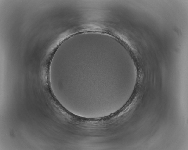 X0000111641455200908281146