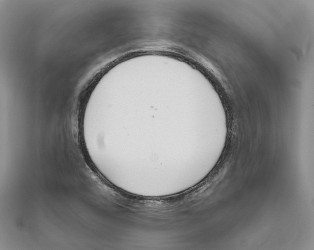 X0000111641456200908281146