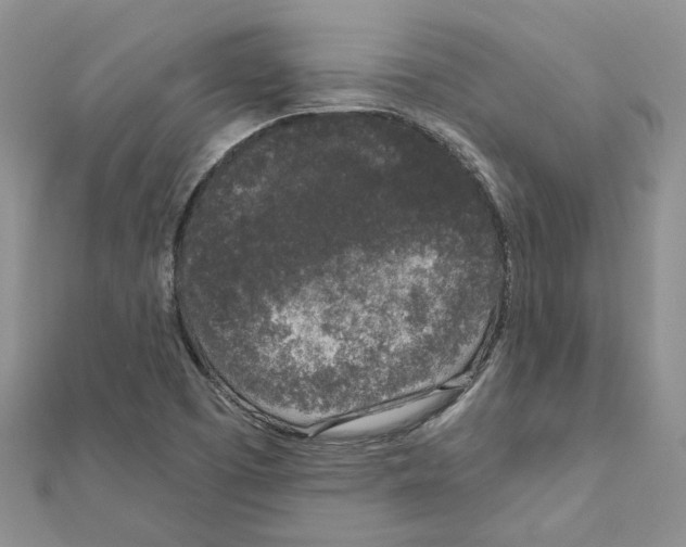X0000111641457200908281146
