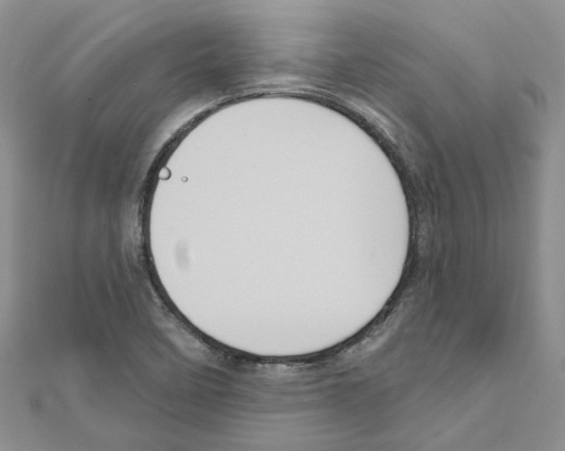 X0000111641458200908281146