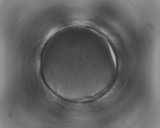 X0000111641459200908281146