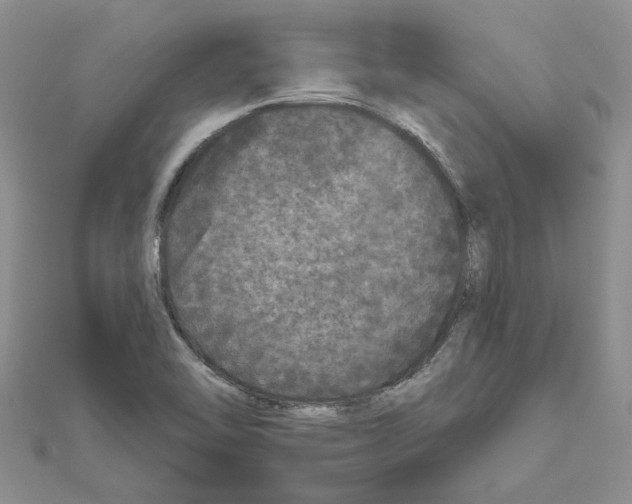 X0000111641462200908281146