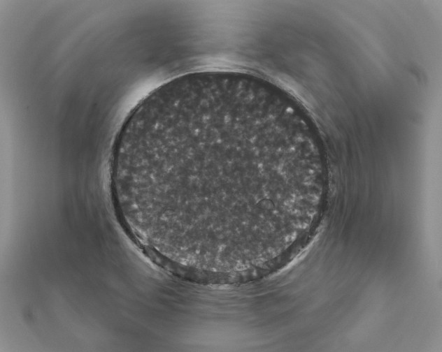 X0000111641463200908281146