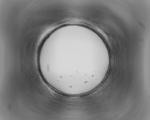X0000111641464200908281146