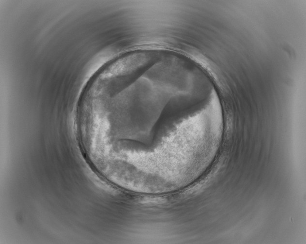 X0000111641466200908281146