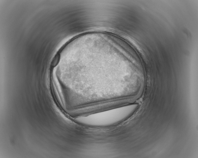 X0000111641468200908281146