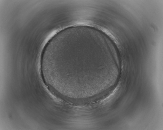 X0000111641469200908281146