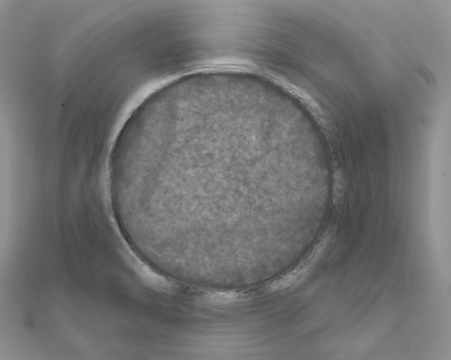 X0000111641470200908281146