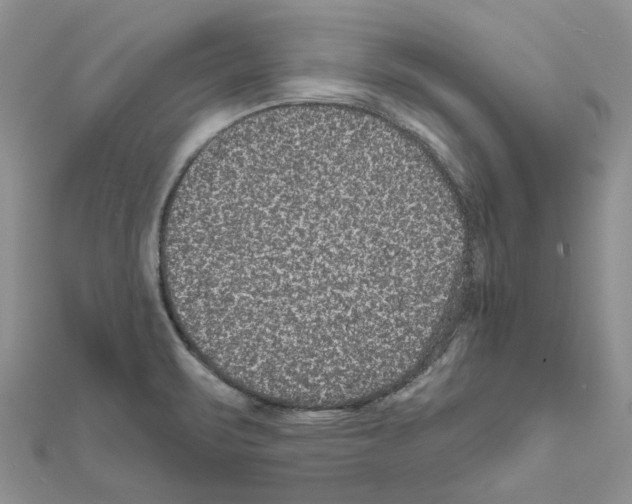 X0000111641471200908281146