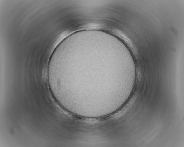 X0000111641473200908281146