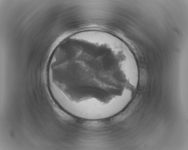 X0000111641474200908281146