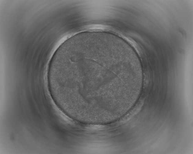 X0000111641475200908281146