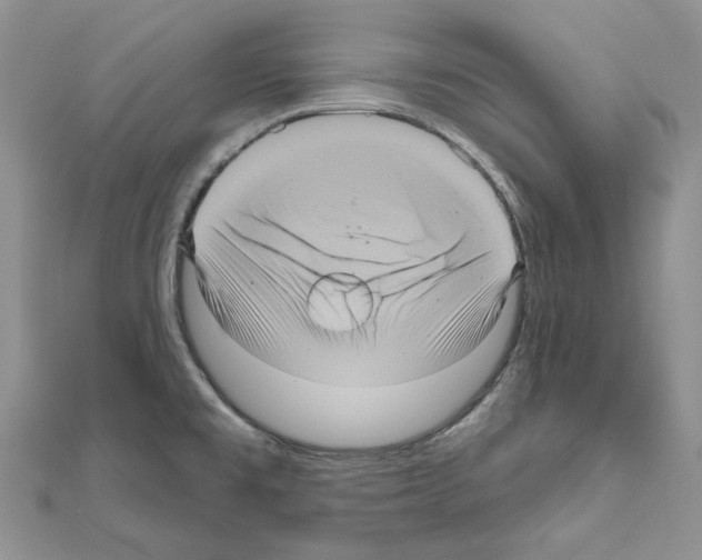 X0000111641477200908281146
