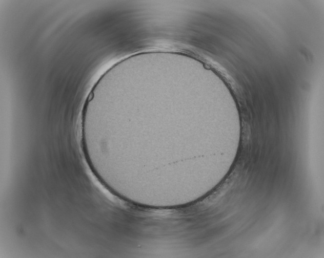 X0000111641479200908281146
