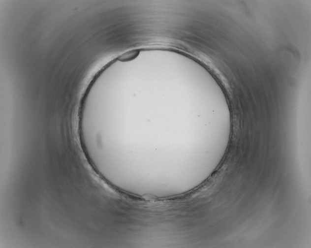 X0000111641480200908281146