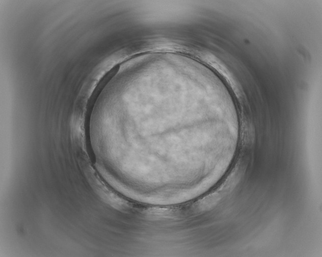 X0000111641481200908281146