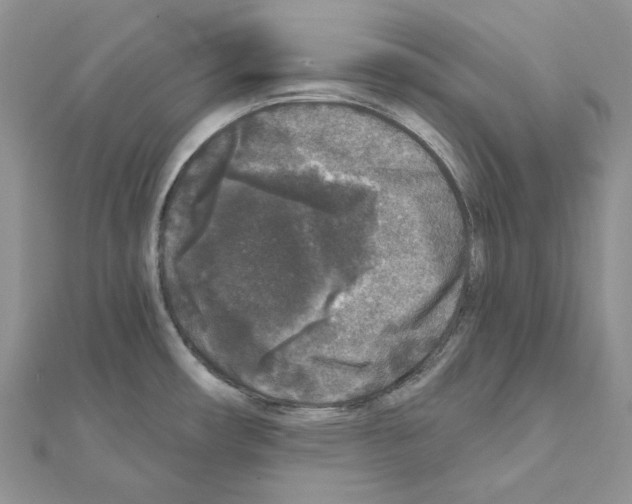 X0000111641482200908281146