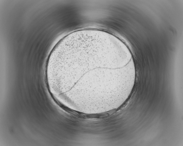 X0000111641483200908281146