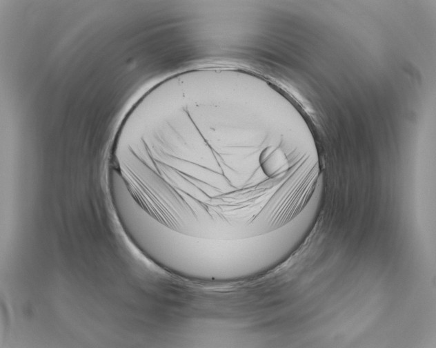 X0000111641484200908281146