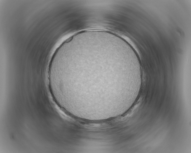 X0000111641485200908281146