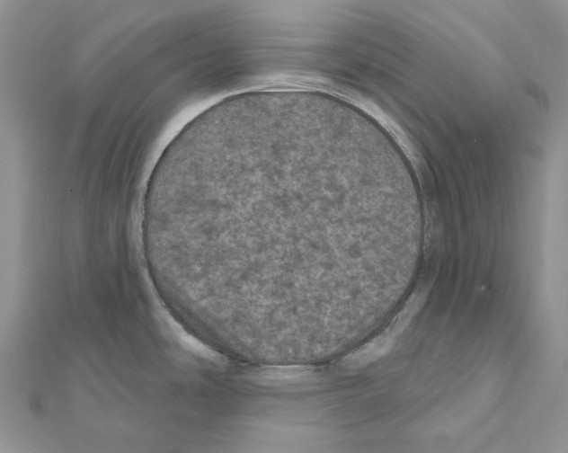 X0000111641486200908281146