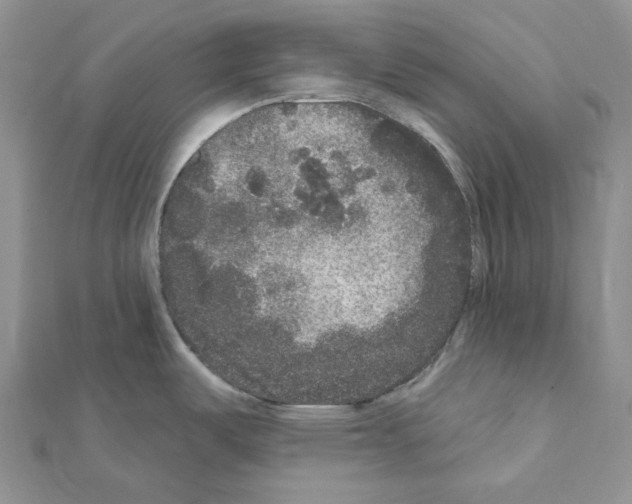 X0000111641487200908281146