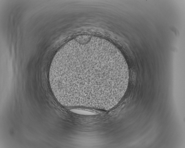 X0000111641489200908281145