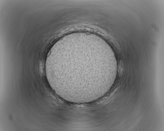 X0000111641490200908281145