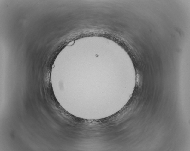 X0000111641492200908281145